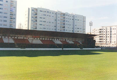 salgueiros