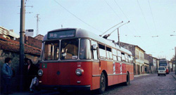 Trolei